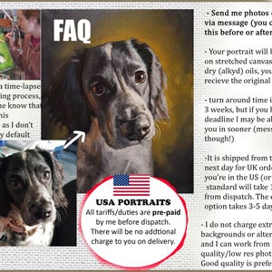 HAND PAINTED horse portrait from photo immagine 2