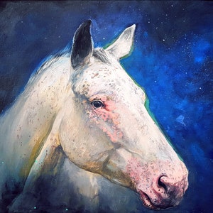 Pu&ograve; includere: Un dipinto ravvicinato di una testa di cavallo bianco con segni rosa. Il cavallo guarda a sinistra e lo sfondo &egrave; blu scuro con stelle bianche.