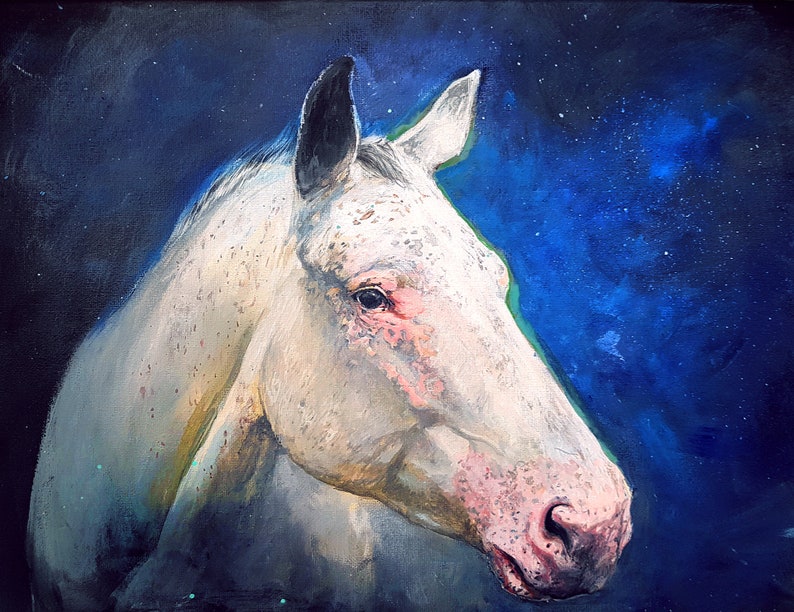 Pu&ograve; includere: Un dipinto ravvicinato di una testa di cavallo bianco con segni rosa. Il cavallo guarda a sinistra e lo sfondo &egrave; blu scuro con stelle bianche.