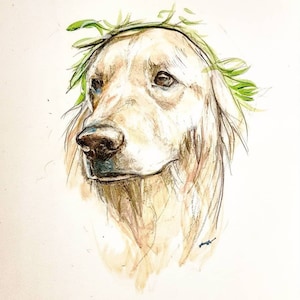Hand Drawn Pet Portrait: Custom Pen and Paint Line Drawing
