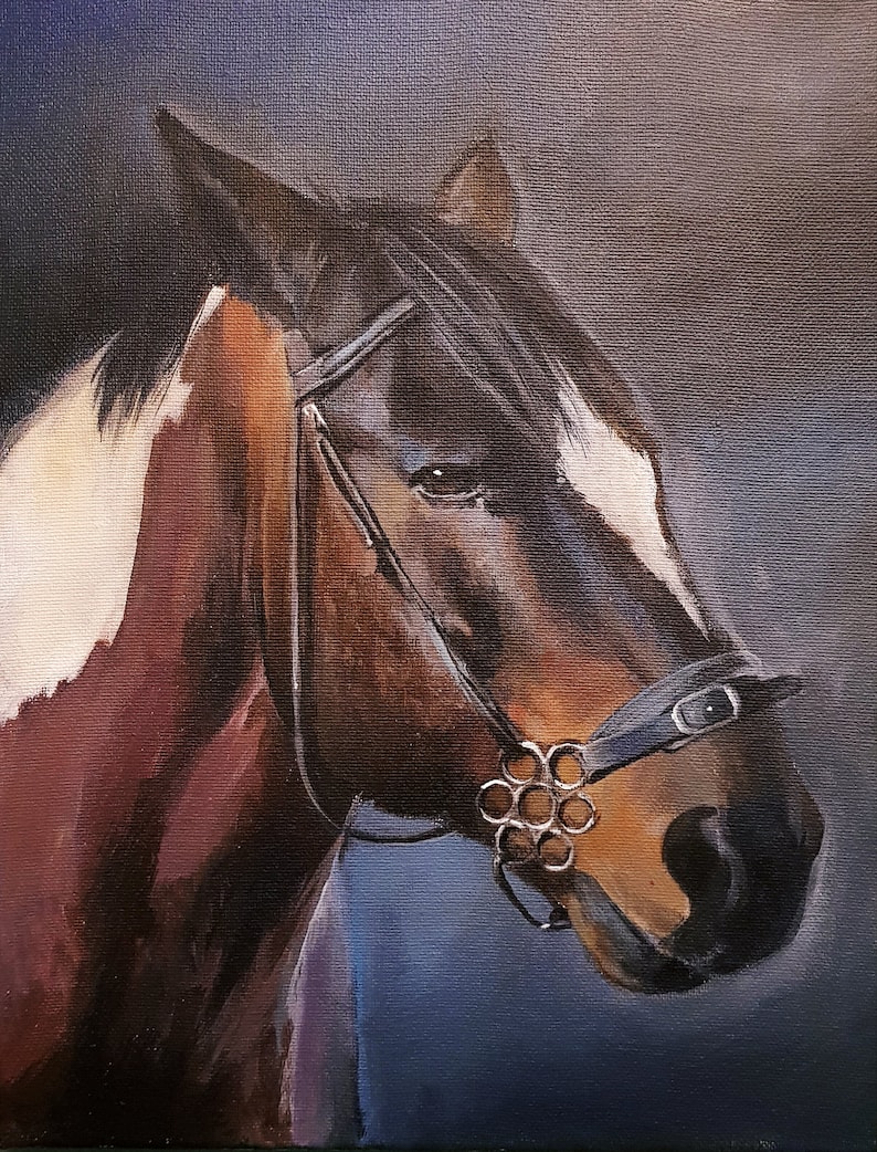 Pu&ograve; includere: Un dipinto di un cavallo marrone e bianco con una briglia e un morso neri. Il cavallo guarda in basso e a sinistra. Lo sfondo &egrave; blu scuro.