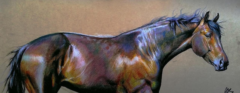 Pu&ograve; includere: Un disegno a matita dettagliato di un cavallo marrone con criniera e coda nere. Il cavallo &egrave; raffigurato di profilo, con la testa leggermente girata di lato. L'artista ha catturato la muscolatura dell'animale e la lucentezza del suo mantello.