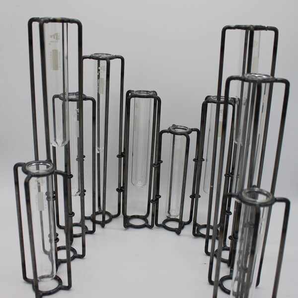 Test Tube Vase Etsy