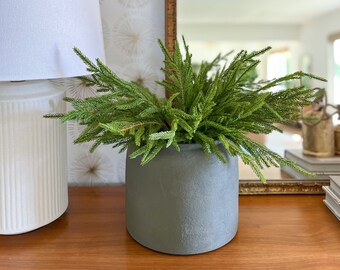 20" Faux Norfolk Pine Bush Bundle of 2