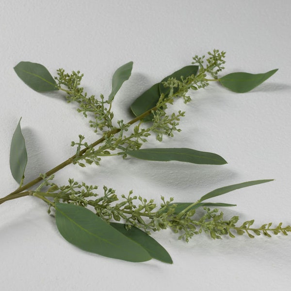 Seeded Eucalyptus Etsy