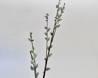 Faux Pussy Willow Bundle of 3 stems- 45"