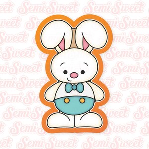 Easter Cookie Cutter Standing Bunny Boy Cookie Cutter Easter Bunny Cookie Cutter Cute Gift for Teachers