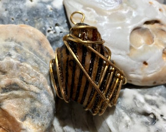 Wire Wrapped Shell Pendant