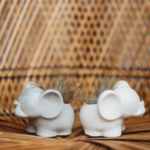 Puede incluir: Dos macetas blancas con forma de elefante, cada una con una pequeña planta de hojas finas y verdes. Las macetas están sobre una superficie tejida marrón, con un fondo tejido.