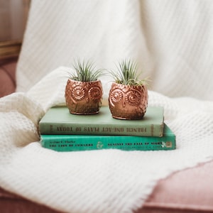 May include: Two copper owl planters with air plants inside, sitting on top of two vintage books. The books are titled "French One-Act Plays of Today" and "Against the Fall of Night".
