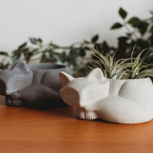 Handmade Sleeping Fox Concrete Planter: Desk Decor