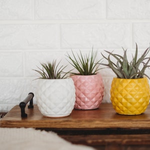 Handmade Pineapple Decor | Pineapple Concrete Container | Pineapple Planter | Housewarming Gift