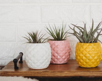Maceta de hormigón hecha a mano con forma de piña / Regalo de inauguración de casa / Contenedor de piña