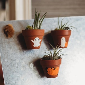 May include: Three small terracotta pots with air plants, decorated with Halloween designs. Two pots feature white ghost illustrations, and one has an orange pumpkin. The pots are attached to a metal surface.