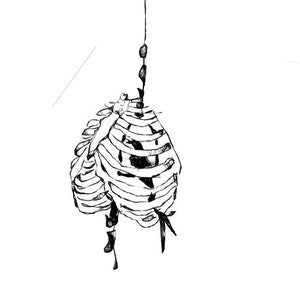 Digital Drawing of Ribcage with a Raven