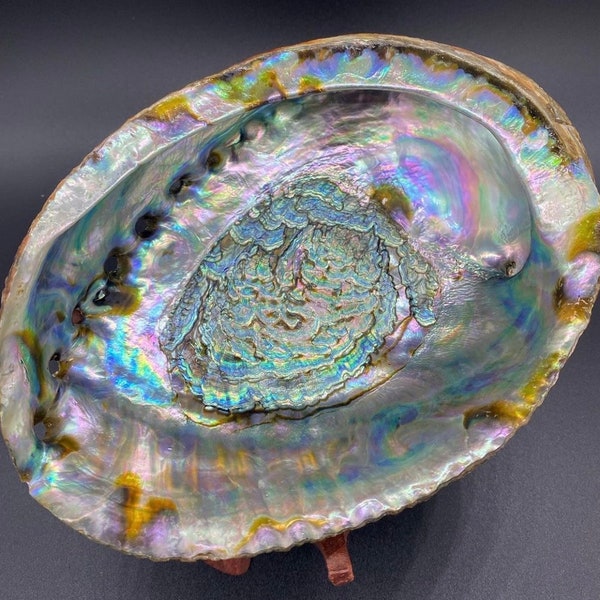 6-7” Large Abalone Shell Smudge Bowl, Colorful Abalone Shell; Sage Dish; Smudge Bowl; Premium Abalone Seashell