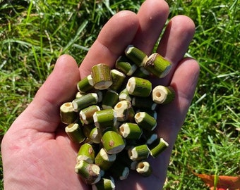 Boxelder Maple Beads, Hand Carved (choose quantity from drop down box in the Cart tab)