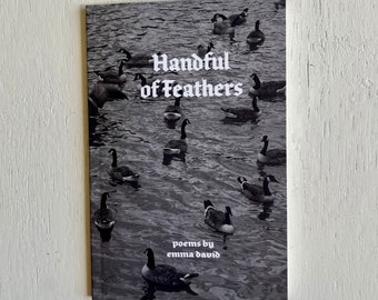 Un puñado de plumas - Libro de poesía