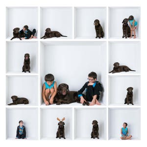 May include: A collage of nine images featuring two children and their chocolate labrador retriever dogs. The children are sitting, standing, and interacting with the dogs in various poses. The dogs are sitting, lying down, and standing in different positions.