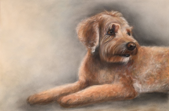Labradoodle Dog Art Archival Print. Soft and detailed, realistic dog art - Labradoodle gift, labradoodle portrait. Cute Coco the dog!