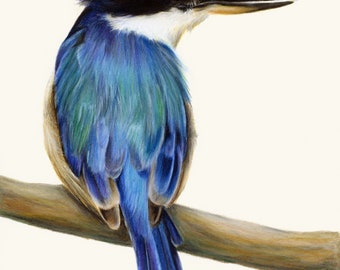 Blue Australian Kingfisher. Beautiful bird art, superior print. Dad gift Christmas. Kingfisher wall art, great gift for Mum.