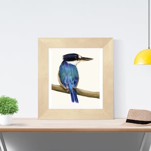 Blue Australian Kingfisher. Beautiful bird art, superior print. Dad gift Christmas. Kingfisher wall art, great gift for Mum. image 2