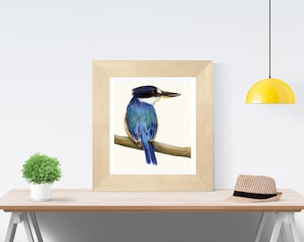 May include: A framed illustration of a blue and green bird with a white head and black beak perched on a branch. The bird is facing to the right and has its wings folded. The background is white.
