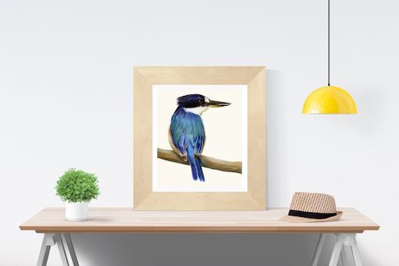 Blue Australian Kingfisher. Beautiful bird art, superior print. Dad gift Christmas. Kingfisher wall art, great gift for Mum.