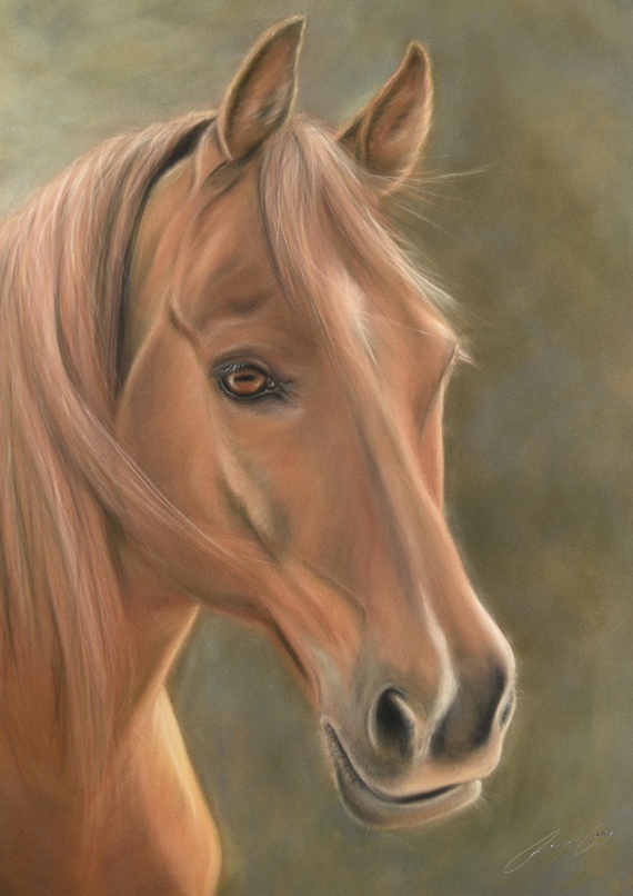 Fine art print - Pastel Chestnut Horse art drawing by Rachael Curry