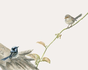 以下が含まれることがあります： 2羽の鳥が枝にとまっている水彩画。左の鳥は青と黒で、右の鳥は灰色。枝は緑と茶色です。