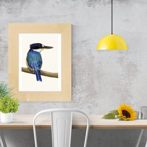 Blue Australian Kingfisher. Beautiful bird art, superior print. Dad gift Christmas. Kingfisher wall art, great gift for Mum. image 6