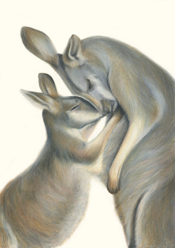 Kangaroo Love. Hugs and kangaroo kisses, perfect gift for those you love. Australian Red Kangaroo.