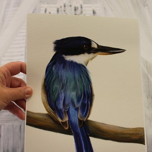 Blue Australian Kingfisher. Beautiful bird art, superior print. Dad gift Christmas. Kingfisher wall art, great gift for Mum. image 5