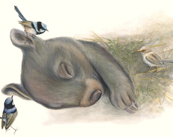 LIMITED EDITION PRINT. Sleepy Wombat. Sweet sleeping wombat how I love you!