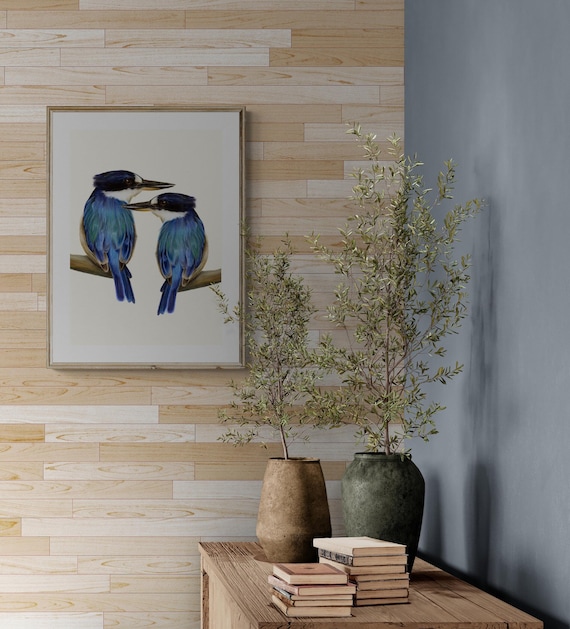 Two Kingfishers Australian Bird Art Print. Exceptional print. Beautiful birds gift. Great blue home decor, wall decor. Living room art. Blue