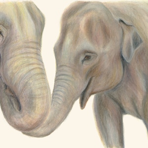 Muurkunst olifanten - prachtig cadeau voor olifantenliefhebbers. Olifant kunstafdruk. Bruin. Trunks vasthouden. Olifantenprint. Cadeau. Dierenkunstprint.