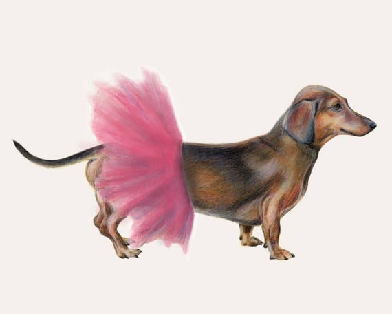 sausage dog drawing