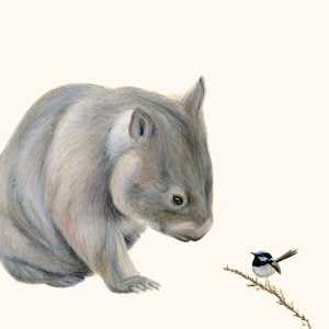 Wombat and Blue Fairy Wren 2 - Wombat art, wombat print. Great Australian animal gift. Wall art for nursery, home decor print for home.