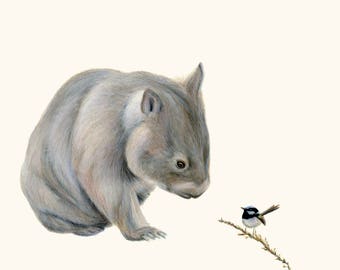 Op de afbeelding: Een grijze en witte wombat met een zwarte neus en ogen kijkt naar rechts naar een kleine zwart-witte vogel die op een tak zit. De vogel heeft een lange staart en kijkt naar links.