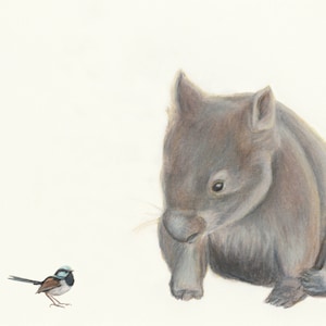 Wombat and Blue Wren fine art print. Fantastic quality print, great for the nursery or children&#39;s room. This wombat will bring lots of love!