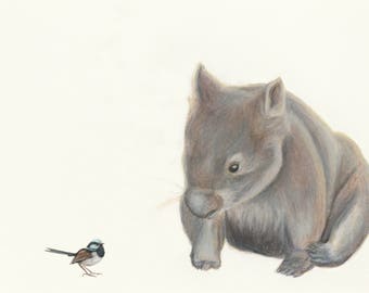 Wombat and Blue Wren fine art print. Fantastic quality print, great for the nursery or children's room. This wombat will bring lots of love!