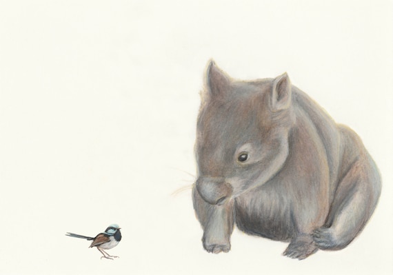 Wombat and Blue Wren fine art print. Fantastic quality print, great for the nursery or children's room. This wombat will bring lots of love!