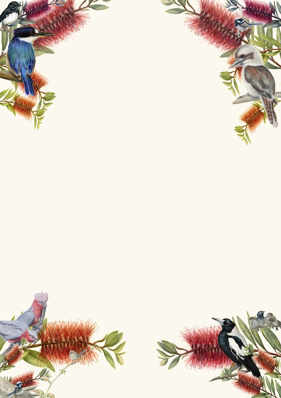 Border art of multiple native birds for text insert