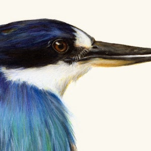 Blue Australian Kingfisher. Beautiful bird art, superior print. Dad gift Christmas. Kingfisher wall art, great gift for Mum. image 3