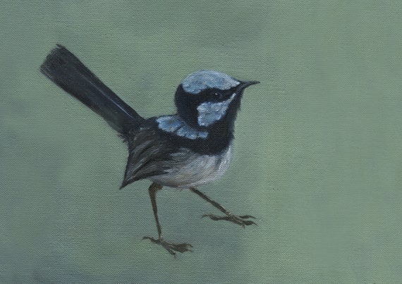 Blue wren, bird art, Australian blue wren. Giclee fine art print of my original oil painting.