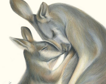 Inspirational quote - Kangaroo hugs, fine art print by Rachael Curry Art