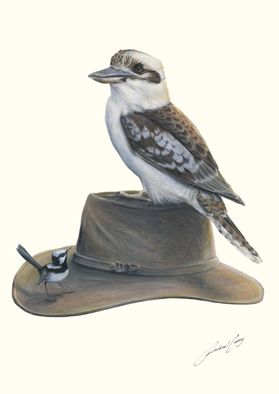 Kookaburra on Australian Hat with Blue Wren Rachael Curry Art