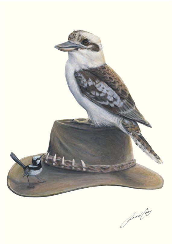 Kookaburra on Australian Hat number 2 with crocodile band with Blue Wren Rachael Curry Art