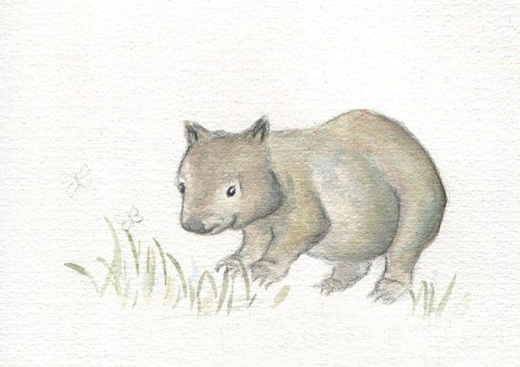 Wombat watercolour sketch, happy little wombat is great for the nursery