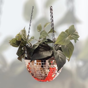 Mirrored Hanging Planter